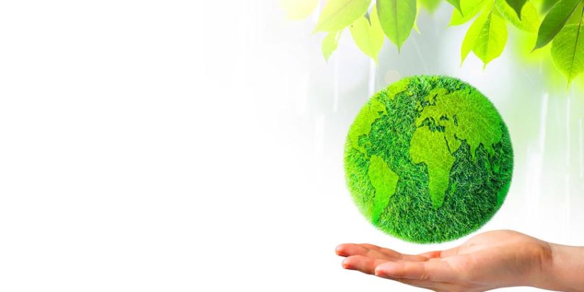 Why Is Eco-Friendly Janitorial Service Crucial? Transitioning to Sustainable Cleaning Solutions